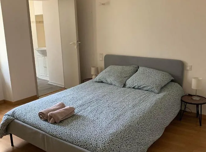 Ravissant Appartement T3 Hypercentre De Mazamet