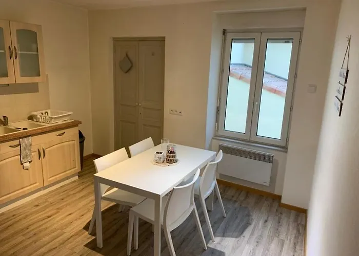 Ravissant Appartement T3 Hypercentre De Mazamet